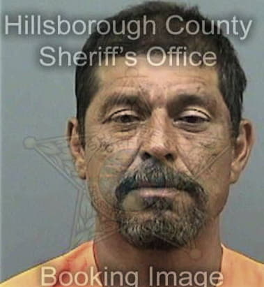 Alexander Gaesser, - Hillsborough County, FL 