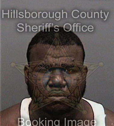 Bruny Michel - Hillsborough County, FL 