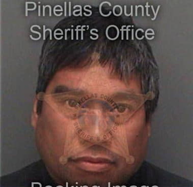 Gerald Miller, - Pinellas County, FL 