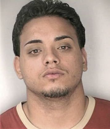 Luis Rosario, - Hillsborough County, FL 