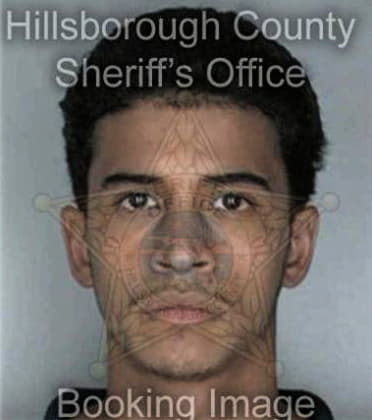 Edwin Vasquez, - Hillsborough County, FL 