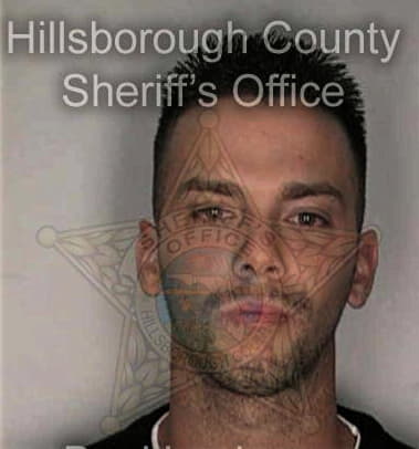 Christopher Viles, - Hillsborough County, FL 