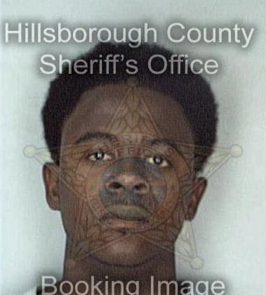 Voltaire Charles - Hillsborough County, FL 