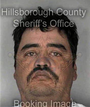 Manuel Hernandez - Hillsborough County, FL 