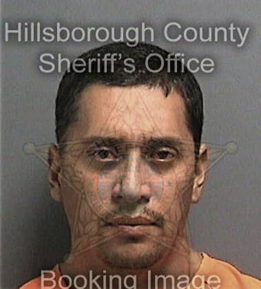 Andrew Schwerin, - Hillsborough County, FL 