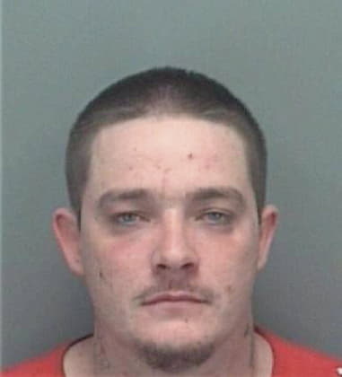 Brian Wilkinson, - Pinellas County, FL 