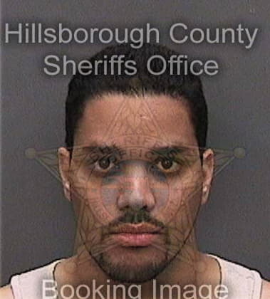 Justin Bhatia - Hillsborough County, FL 