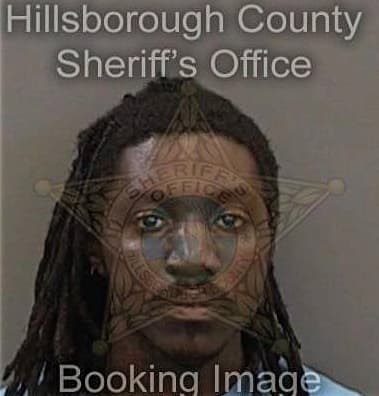 Milad Boroojeni - Hillsborough County, FL 