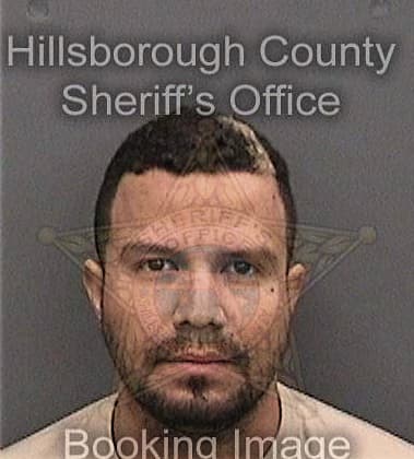 Mauro Cruz, - Hillsborough County, FL 