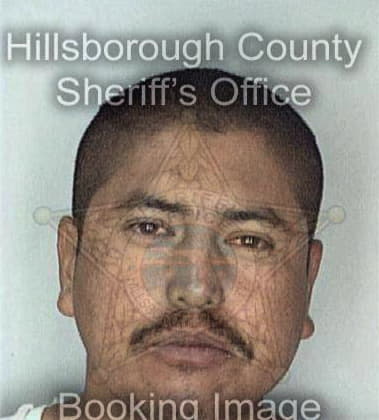 Froylan Estrada, - Hillsborough County, FL 