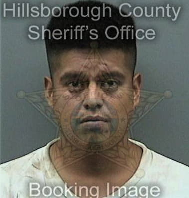 Santos Hernandezescoto - Hillsborough County, FL 