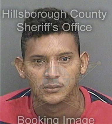 Charles Melcer - Hillsborough County, FL 