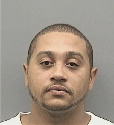 Oded Merilus - Hillsborough County, FL 