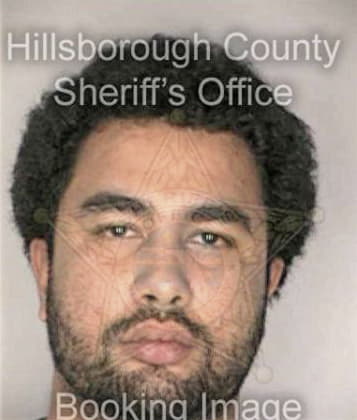 Oscar Ortega, - Hillsborough County, FL 