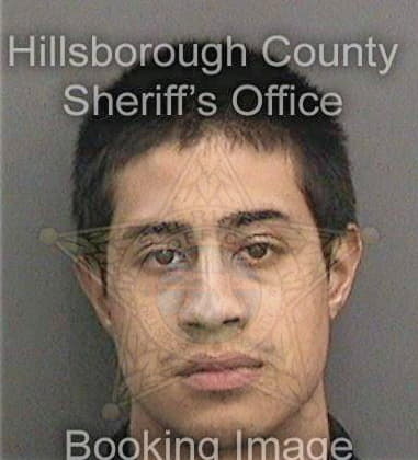 Kelton Tanner, - Hillsborough County, FL 