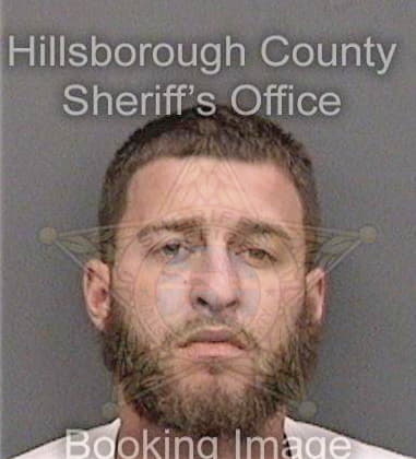 Daniel Valle, - Hillsborough County, FL 