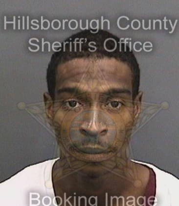 Michael Wright, - Hillsborough County, FL 