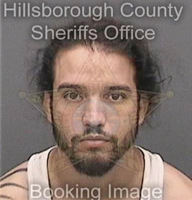 Marco Arroyo-Torres, - Hillsborough County, FL 