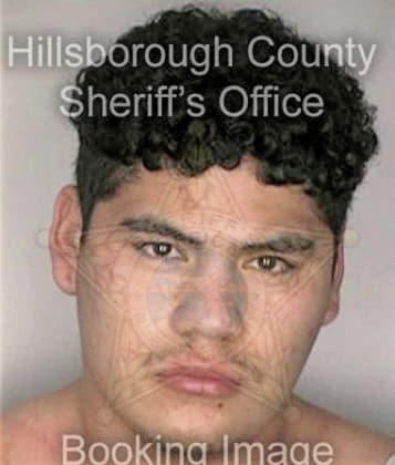 Robert Brady - Hillsborough County, FL 