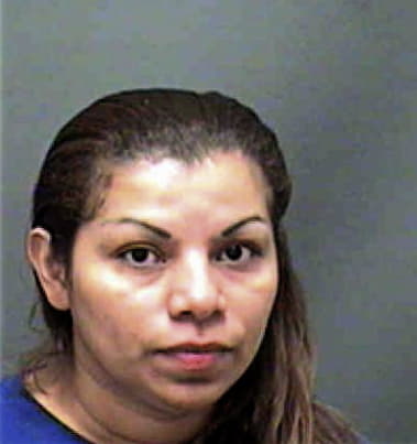 Lisette Caldas, - Mecklenburg County, NC 