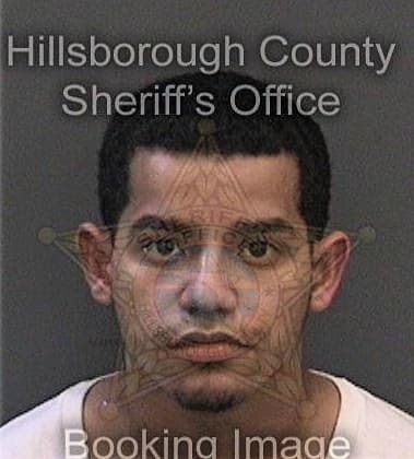 Thomas Hawthorne, - Hillsborough County, FL 