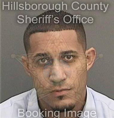 Peter Martinez, - Hillsborough County, FL 