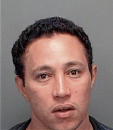 Fernando Mejia, - Pinellas County, FL 