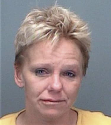 Erika Singh - Pinellas County, FL 