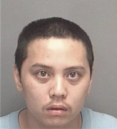 Kongmany Souriyong - Pinellas County, FL 