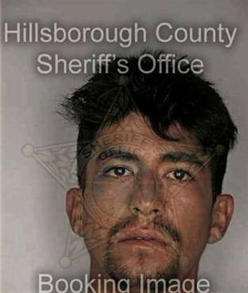 Ellsworth Velez, - Hillsborough County, FL 