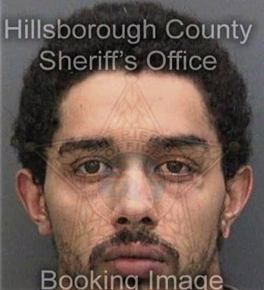 David Zoelle, - Hillsborough County, FL 