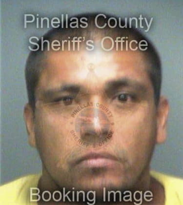 Fidel Charrez, - Pinellas County, FL 