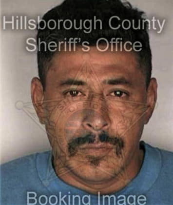 Ricardo Henriquez - Hillsborough County, FL 