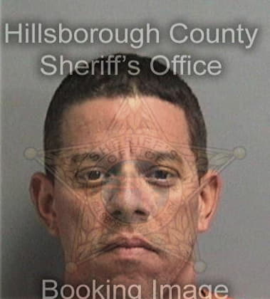 Anastacio Hernandez - Hillsborough County, FL 
