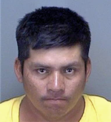 Juan Hernandezdiaz, - Pinellas County, FL 