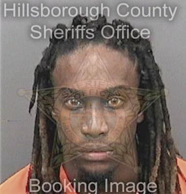 Michael Hunt, - Hillsborough County, FL 