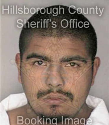 Justin Loofbourrw, - Hillsborough County, FL 