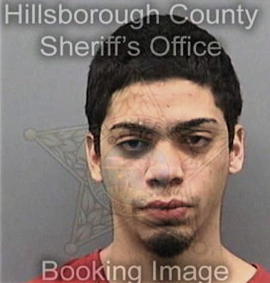 Mark McNally - Hillsborough County, FL 