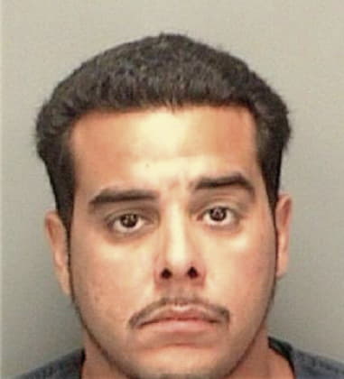 Andres Olguin, - Pinellas County, FL 