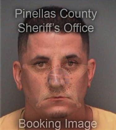 Ryan Palmer, - Pinellas County, FL 