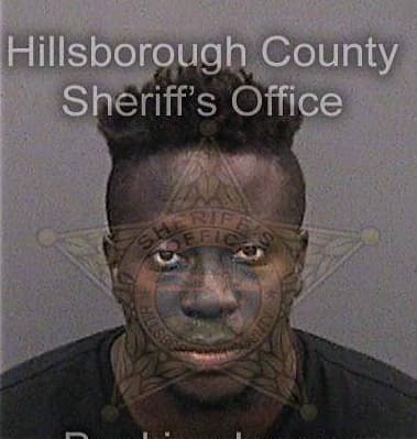 Sinclair Richo, - Hillsborough County, FL 