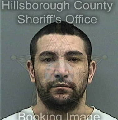 Ronny Silva, - Hillsborough County, FL 