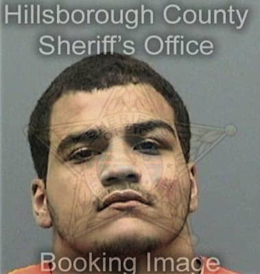 Kevin Valdovinos, - Hillsborough County, FL 