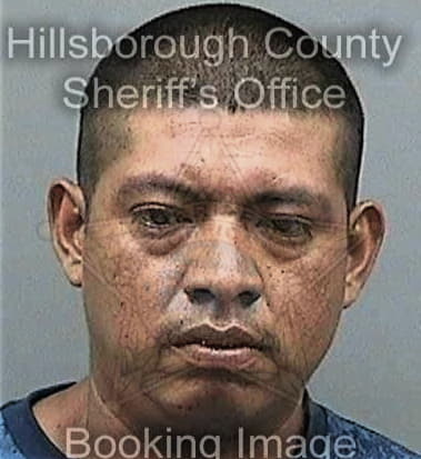 Rayan Alhabib, - Hillsborough County, FL 