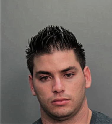 Alvaro Amaya-Pedroza, - Dade County, FL 