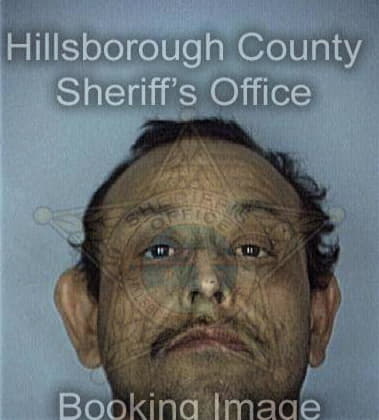 Michael Bibeau - Hillsborough County, FL 