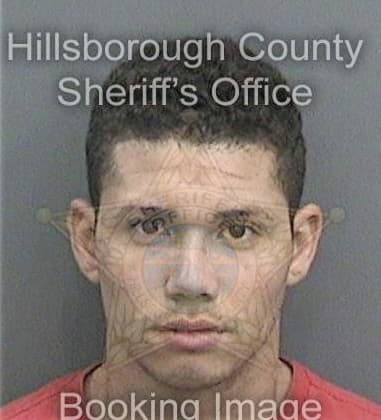 Michael Bryan, - Hillsborough County, FL 