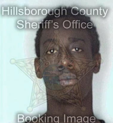William Chapman - Hillsborough County, FL 