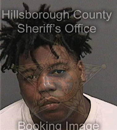 Benzel Lewis, - Hillsborough County, FL 