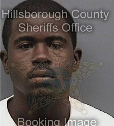 Devorion Livingston, - Hillsborough County, FL 